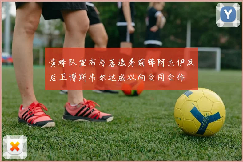 黄蜂队宣布与落选秀前锋阿杰伊及后卫博斯韦尔达成双向合同合作