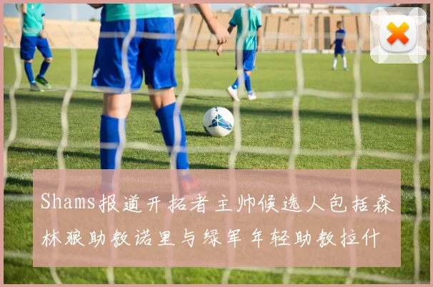 Shams报道开拓者主帅候选人包括森林狼助教诺里与绿军年轻助教拉什布鲁克