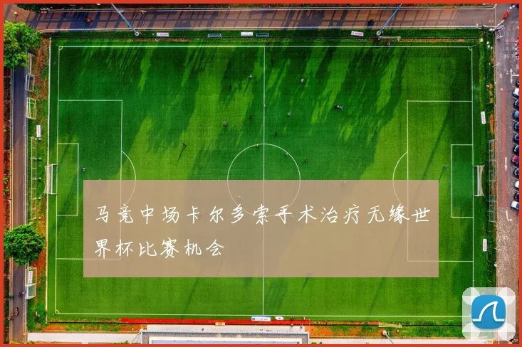 马竞中场卡尔多索手术治疗无缘世界杯比赛机会