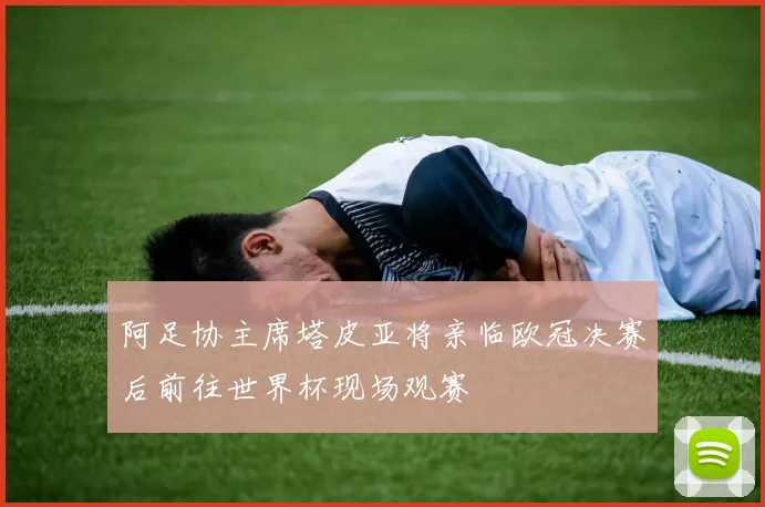 阿足协主席塔皮亚将亲临欧冠决赛后前往世界杯现场观赛